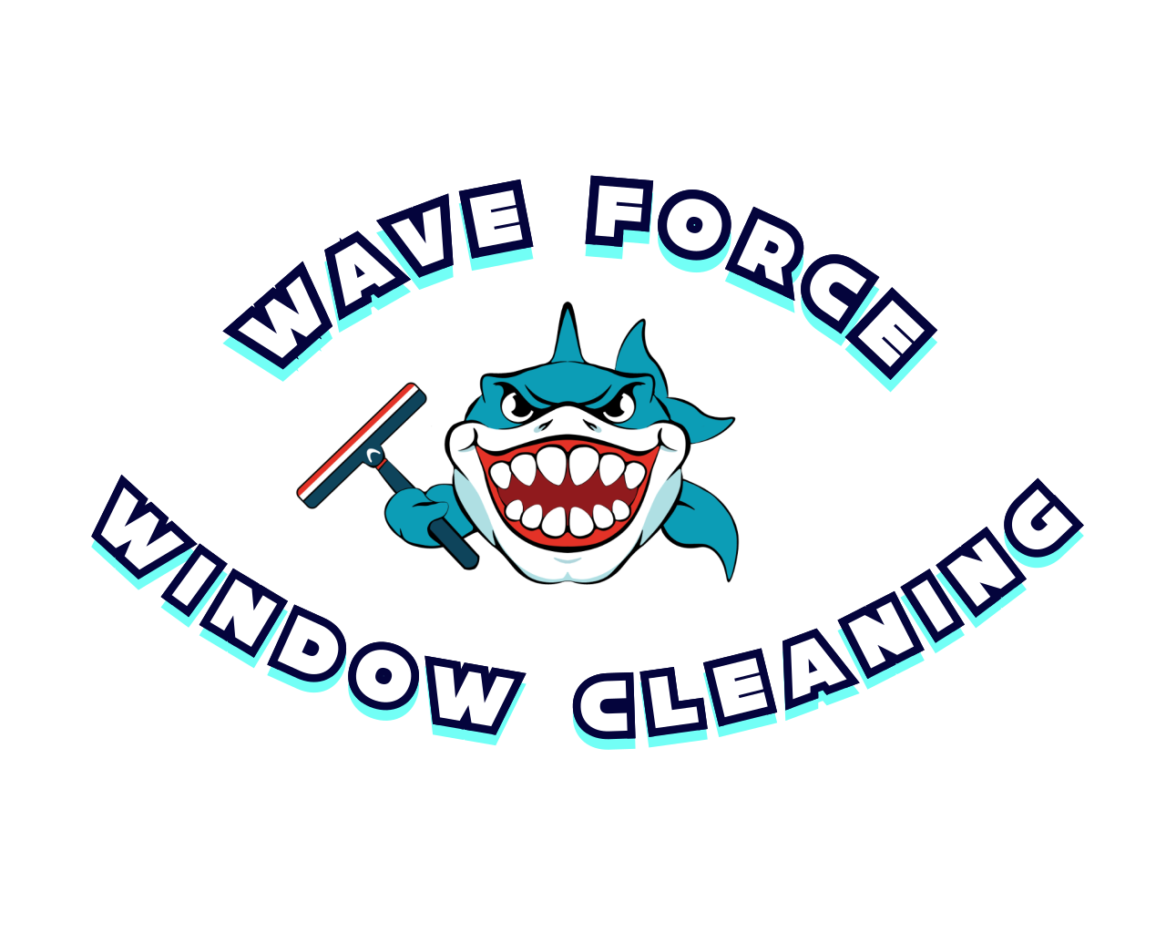 Wave Force Window Washing