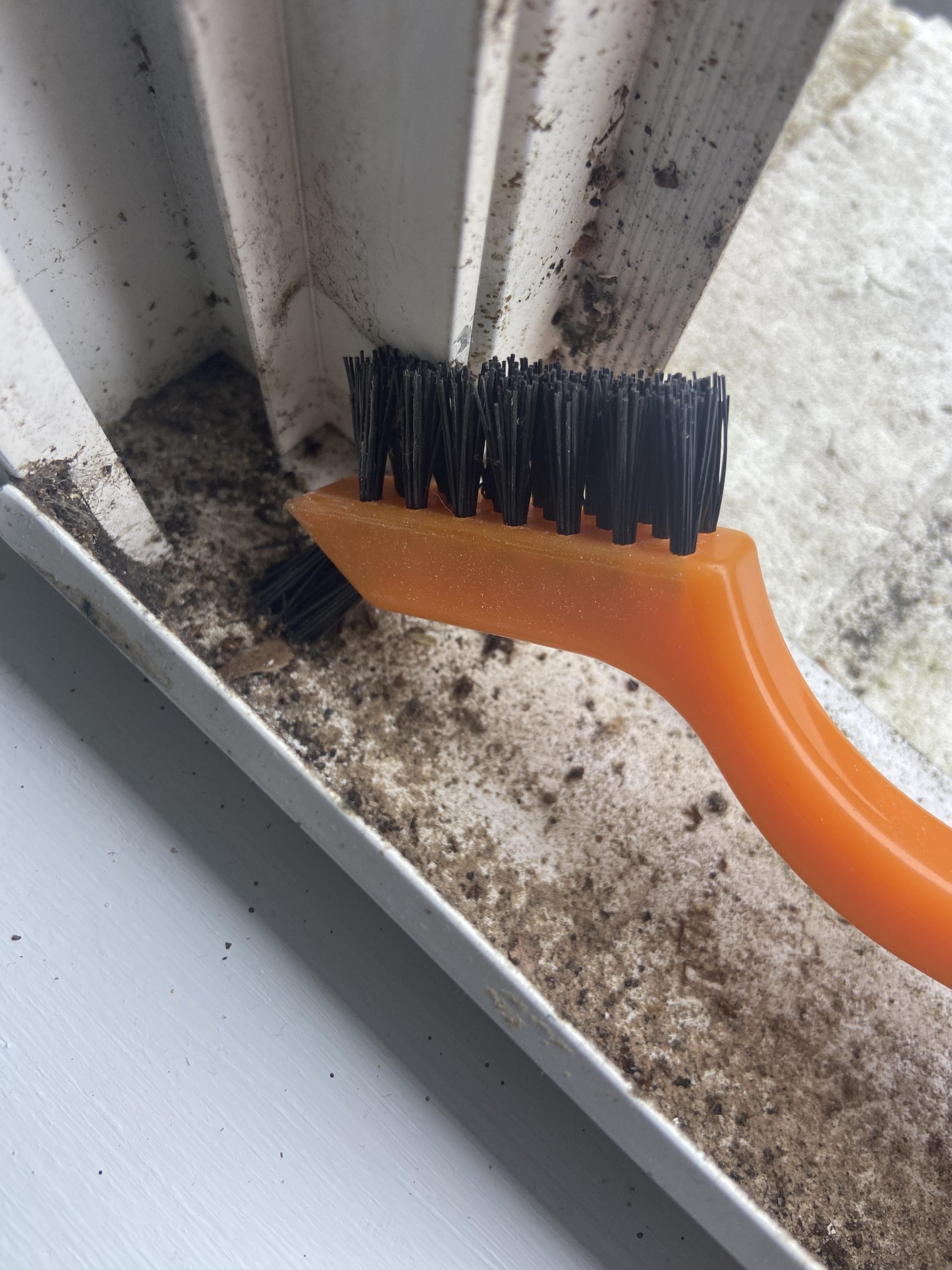 Track Cleaning Emerald Coast